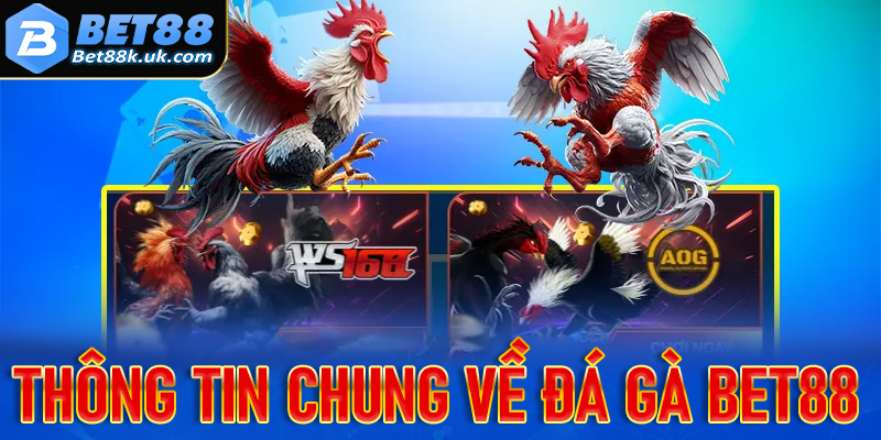 Thông tin chung về đấu trường chọi gà Bet88