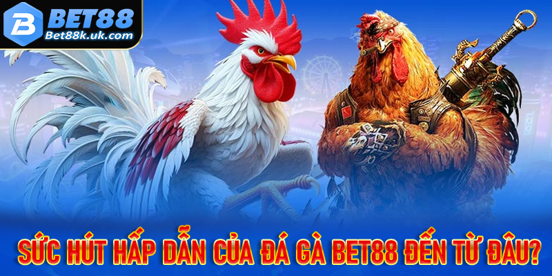 Giải mã sức hấp dẫn của đấu trường chọi gà Bet88 đến từ đâu?