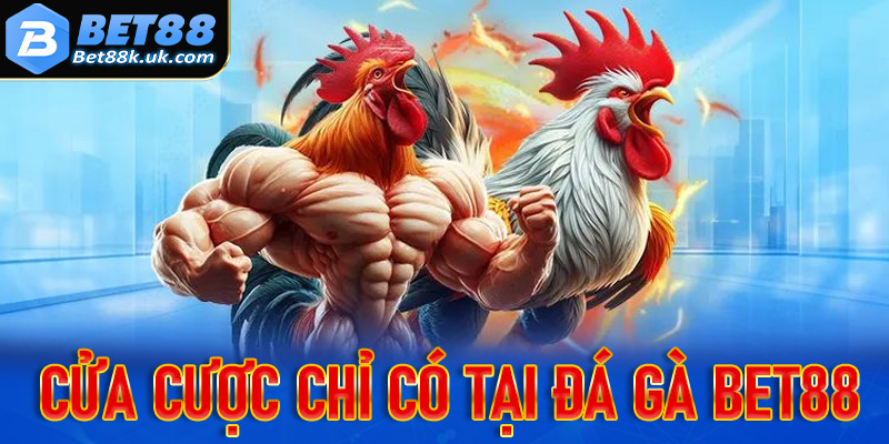 Những cửa cược hấp dẫn chỉ có tại đấu trường đá gà Bet88