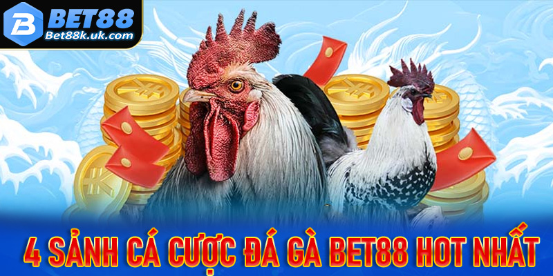 Khám phá 4 sảnh cá cược đá gà Bet88 hot nhất hiện nay